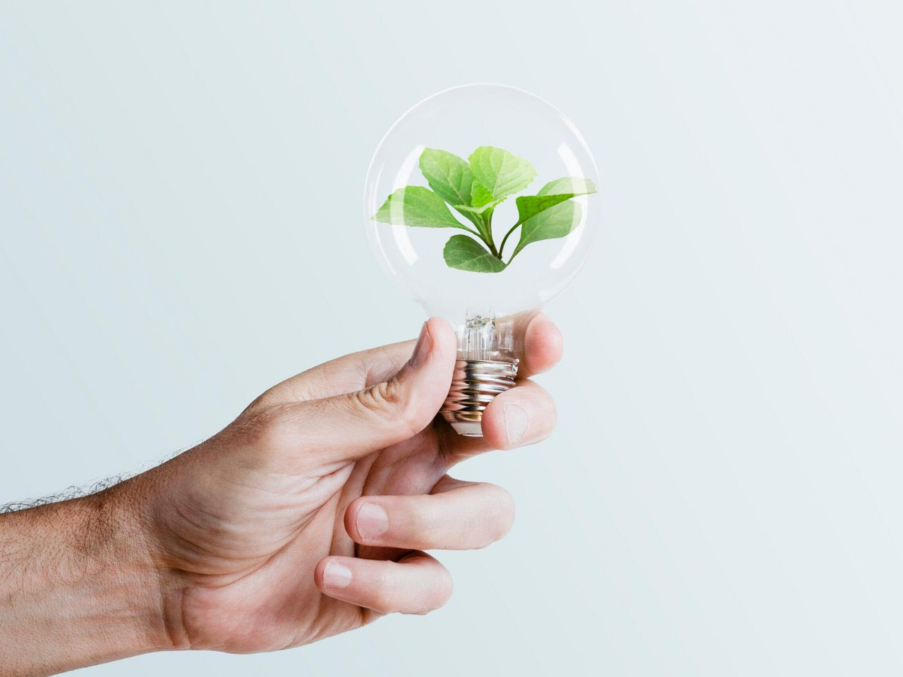 La innovación con sello local: La UNaB suma proyectos para el desarrollo de la región